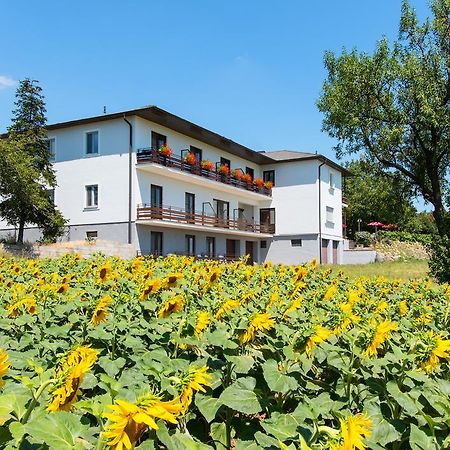 Gasthof-Pension Wein Breitenbrunn  Exterior photo
